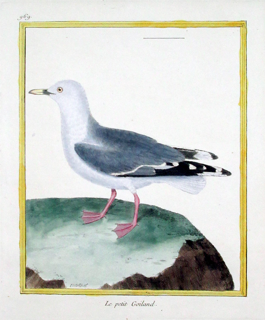 Martinet Sea Gull c 1770-86