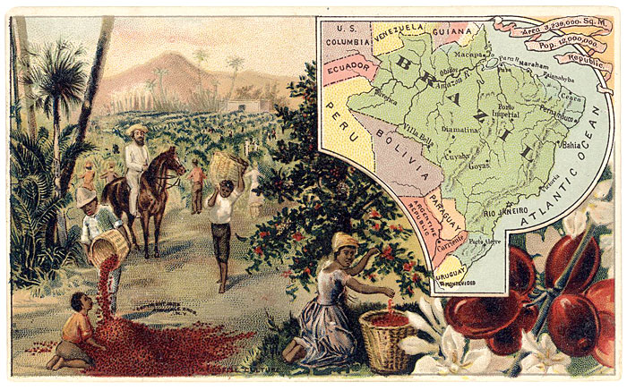 c 1889 BRAZIL - Arbuckle Bros.