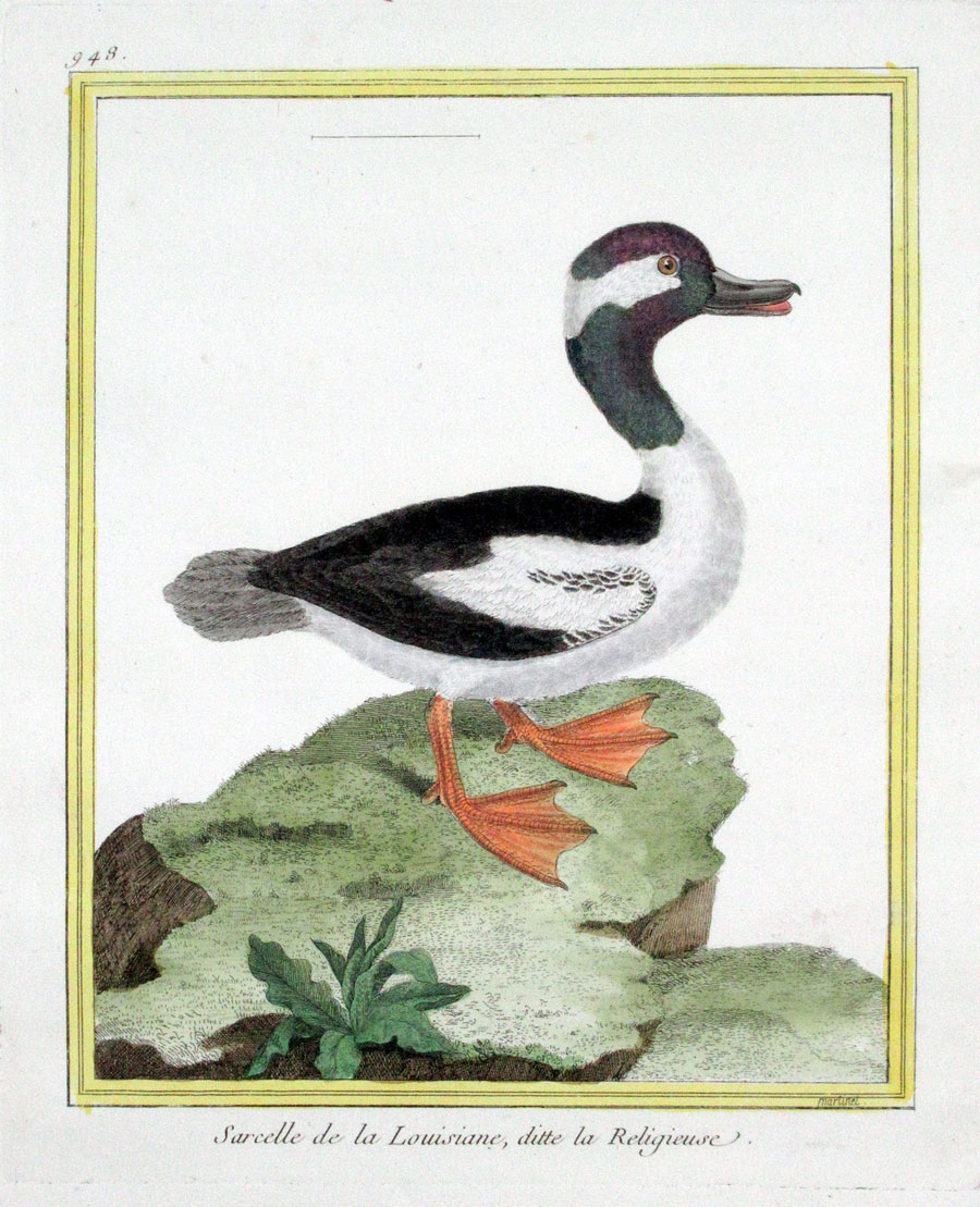 Martinet Teal c 1770-86