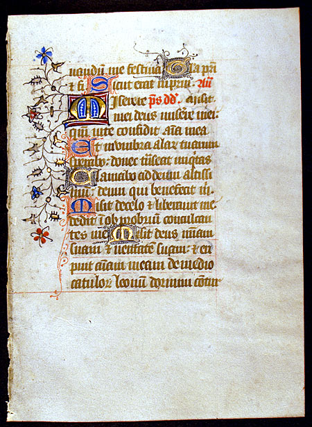 Medieval Book of Hours Leaf - Elegant rinceaux border