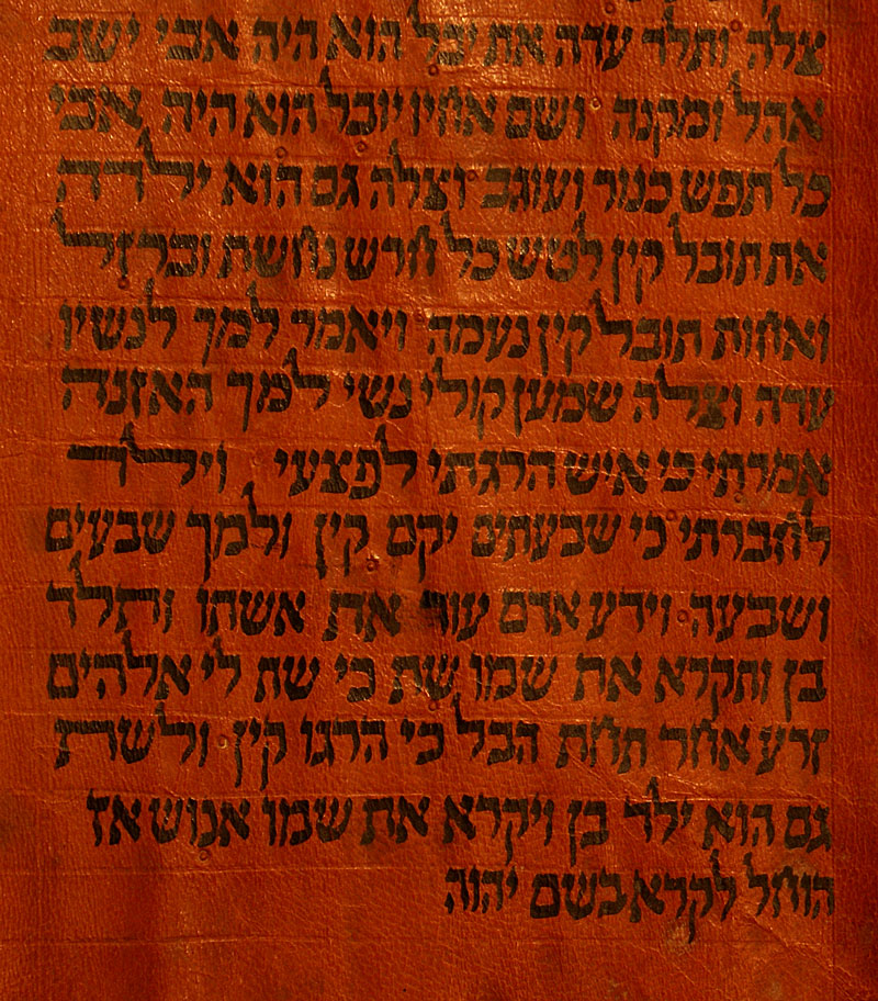 Torah Scroll Fragment