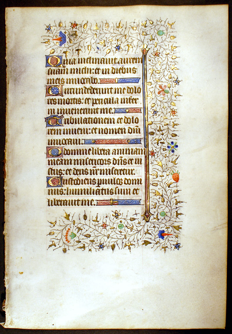 Medieval Book of Hours Leaf - Elegant rinceaux border
