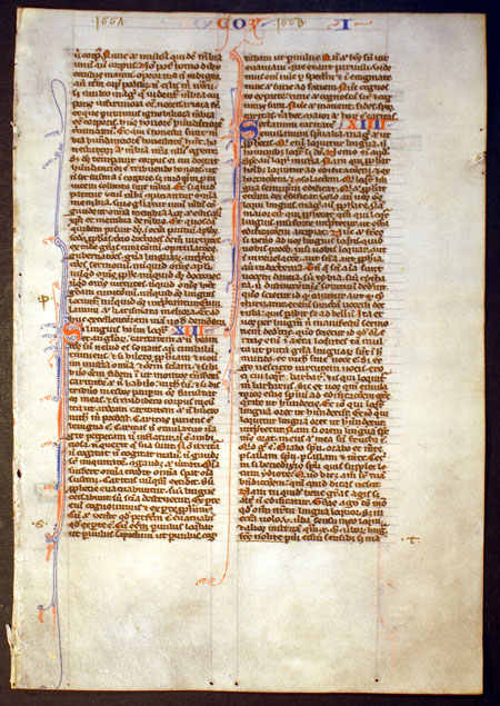 Medieval Bible Leaf - I Corinthians - ''Love is patient...''