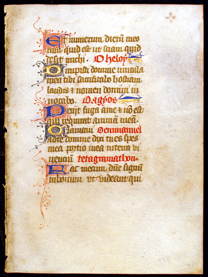 Medieval Book of Hours Leaf - Beautiful Rinceaux Borders