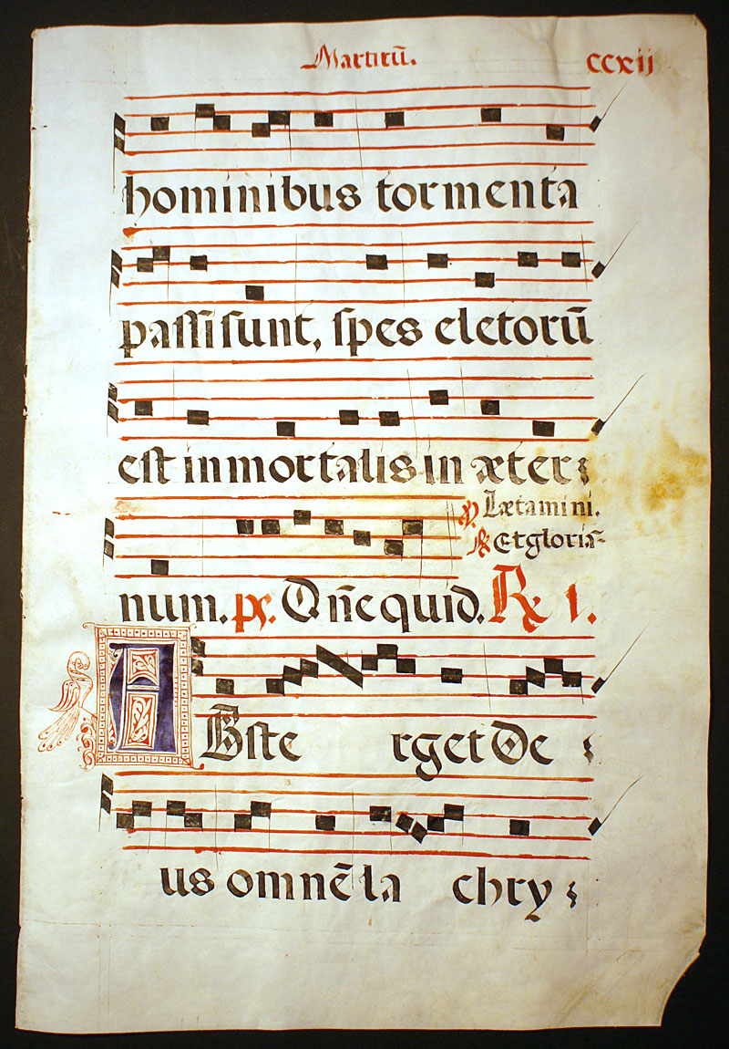 Gregorian Chant - Beautiful bird in margin