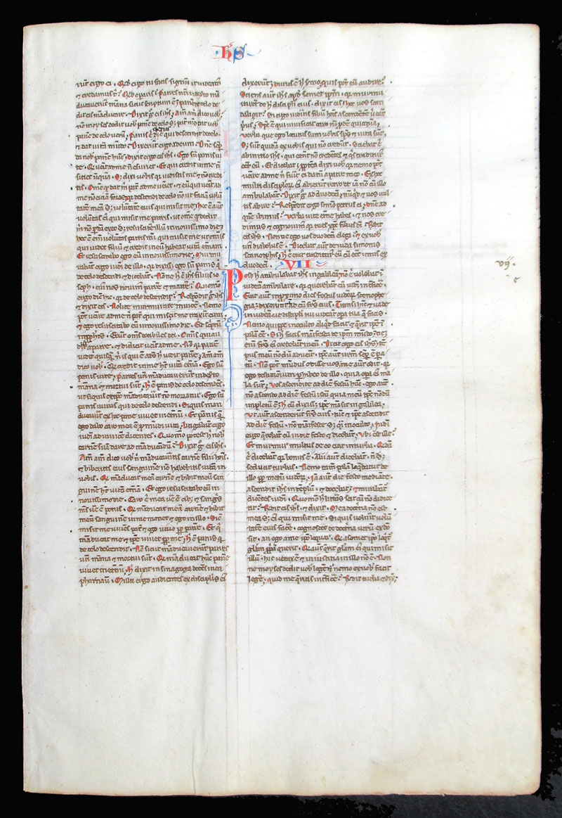 c 1250 Bible Leaf - John - 