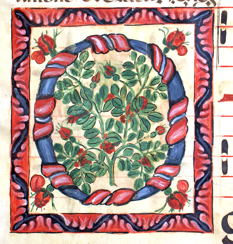 c 1600 Gregorian Chant - Unusual Large Elaborate Initial w Roses