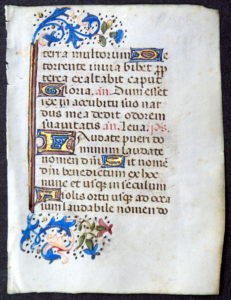 Lady's Hours Leaf - c 1460  