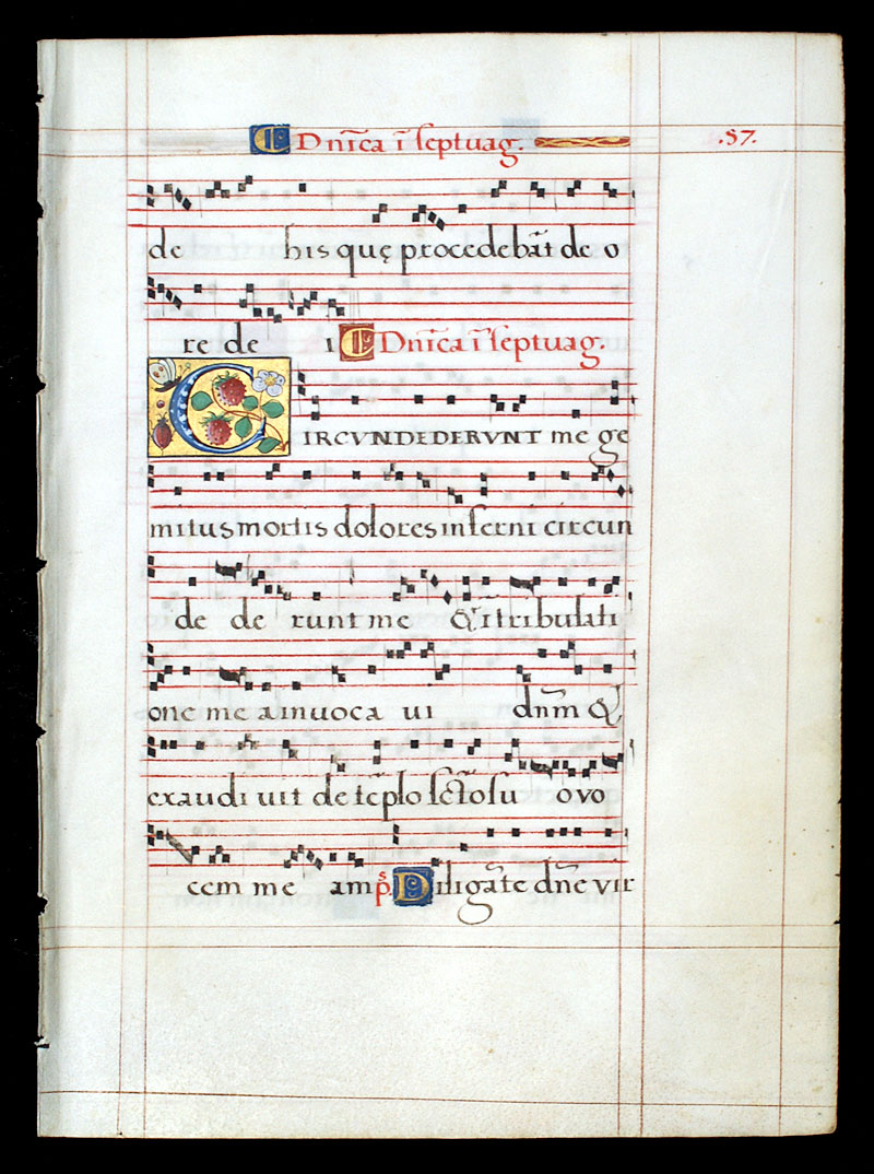 Gradual Leaf, c. 1550 - Initial with ladybug and butterfly