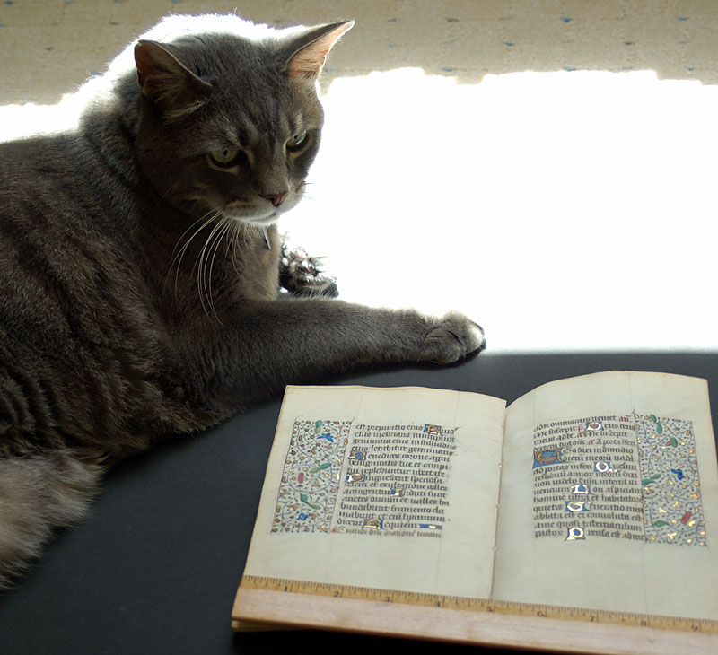 1450-75 Book of Hours Leaves - 16 consecutive pages