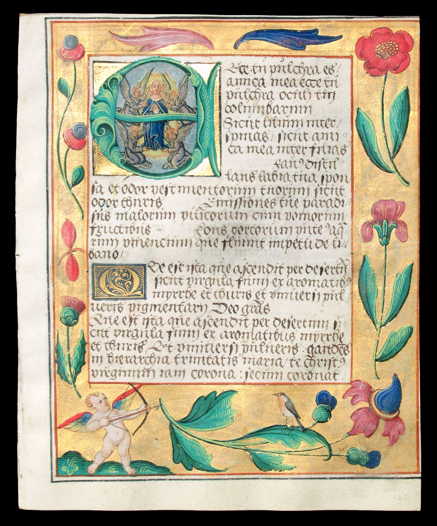 c 1524 Psalter/Prayerbook - Assumption of Blessed Virgin Mary
