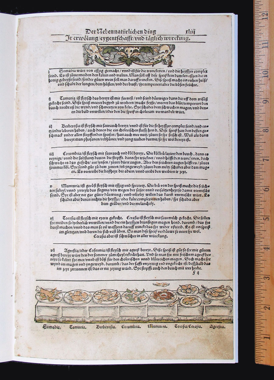 c 1533 Leaf Book - German Translation of Ibn Butllan's Hygiene