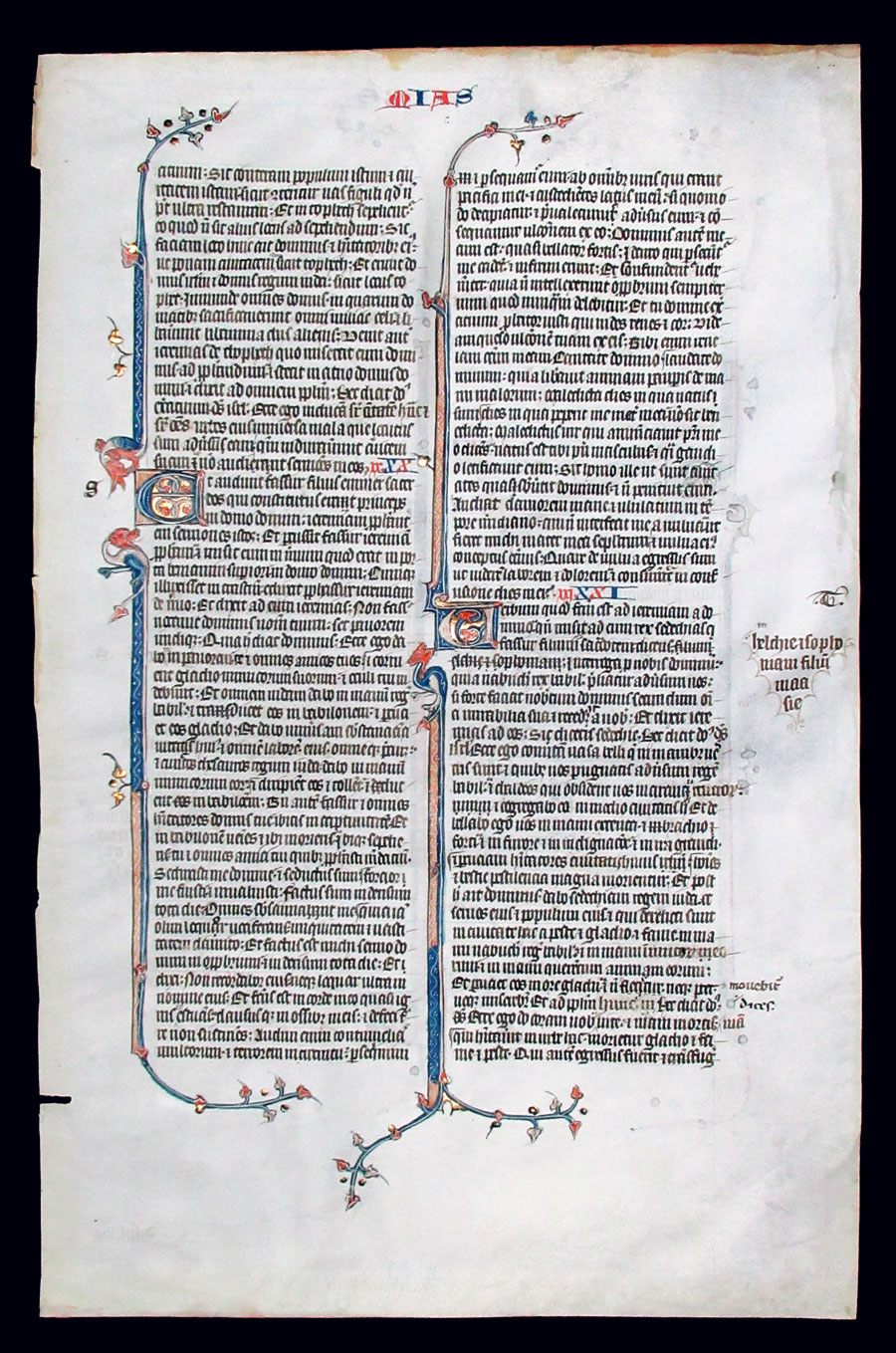 c 1275-1300 Folio Bible Leaf - Wonderful creatures - ex Ege