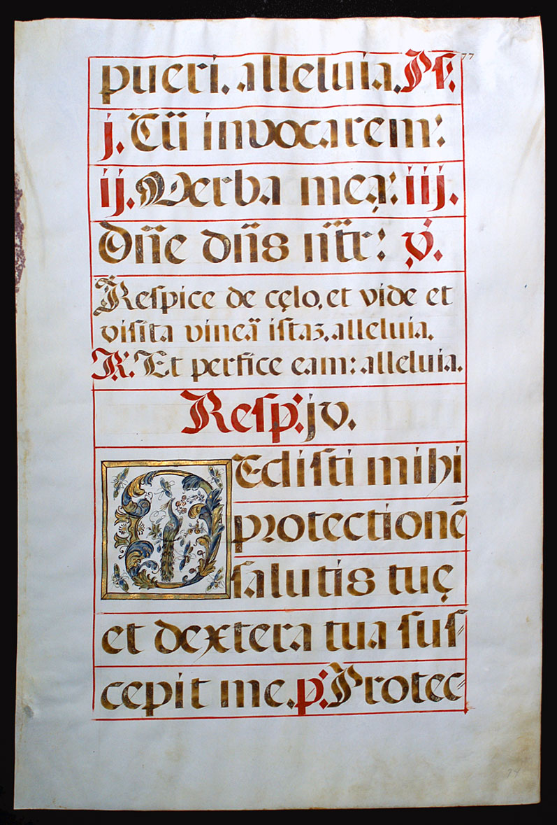 c 1550 Gregorian chant leaf - initials w peacock and butterflies