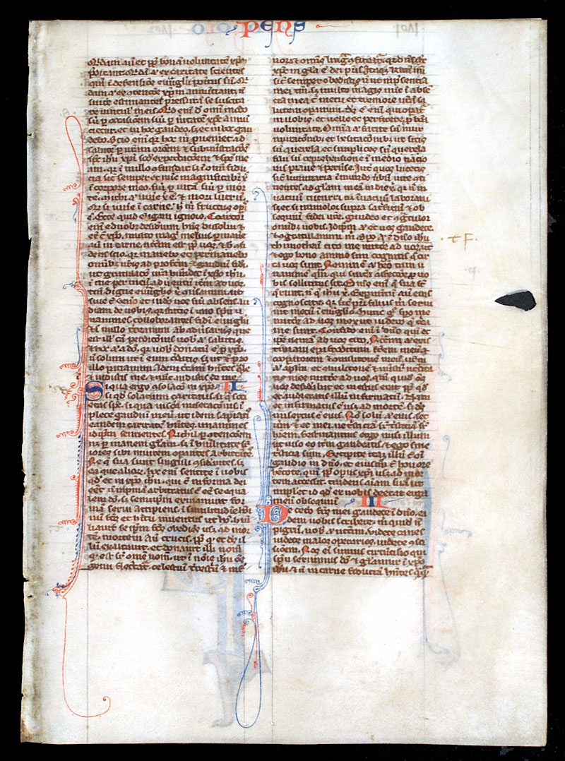 c 1240 Bible Leaf - Miniature of St Paul - De Brailes Workshop