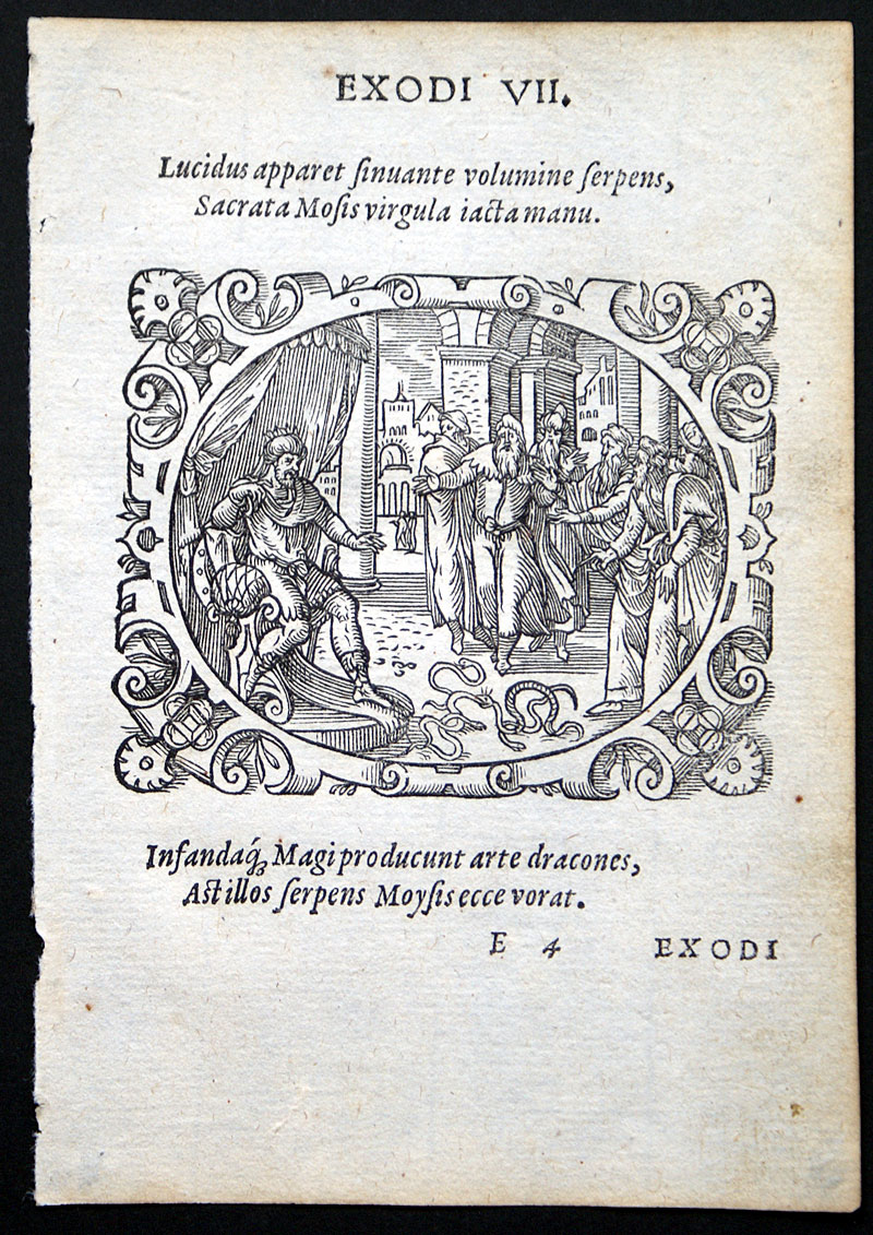 Jost Amman - Master Woodcut - 1571 - Aaron's Rod