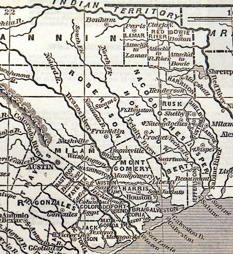 TEXAS c. 1851 - Phelps, Buffalo & Wild Horses - Comanche Indians