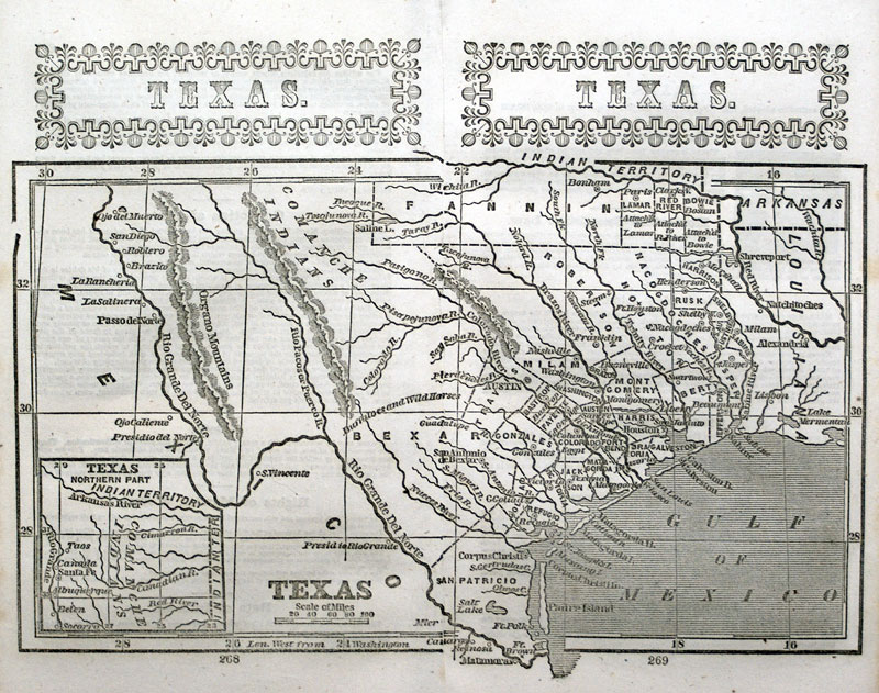 c 1851 TEXAS - Phelps, Fanning & Co - Buffalo & Wild Horses