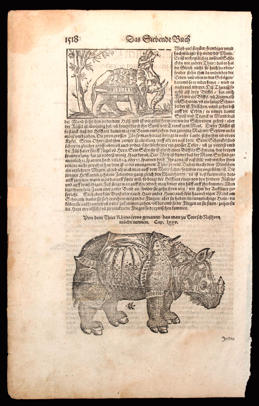 c 1550-1628 Rhinoceros by David Kandel after Albrecht Durer