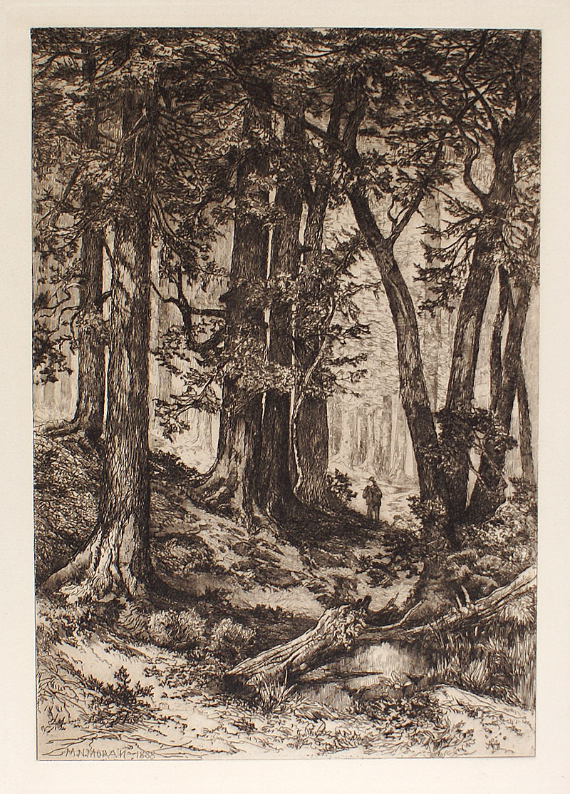 c 1888 Moran Etching - California Forest